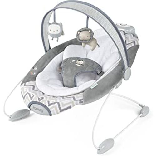 Ingenuity Automatic SmartBounce Baby Bouncer