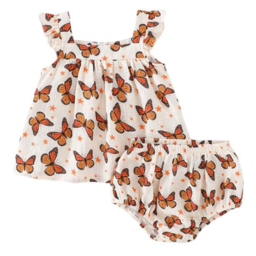 Monarch Butterfly Set