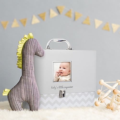 Pearhead Baby's Little Organizer