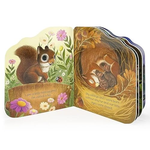 A Little Squirrel - An Animal-Shaped Children's Board Book, Ages 1-5
