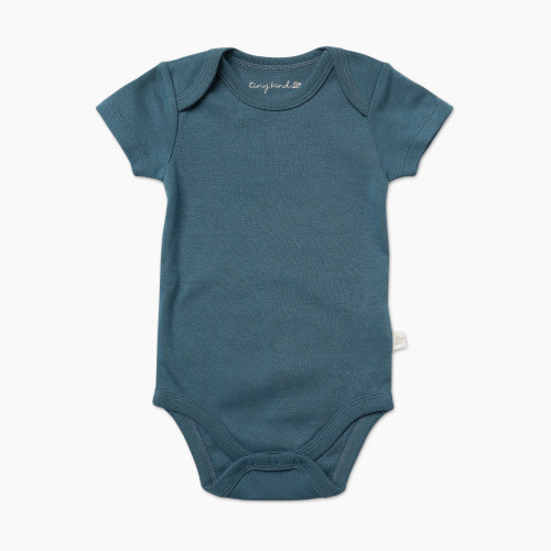 Tiny Kind Solid Short Sleeve Organic Cotton Bodysuit - Tapestry Blue, 9-12 M