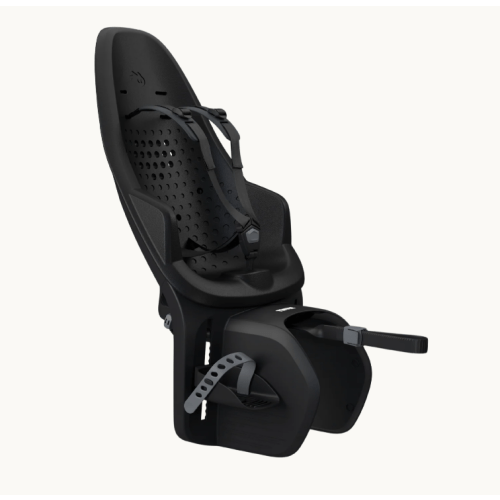 Thule Yepp 2 Maxi Child Seat