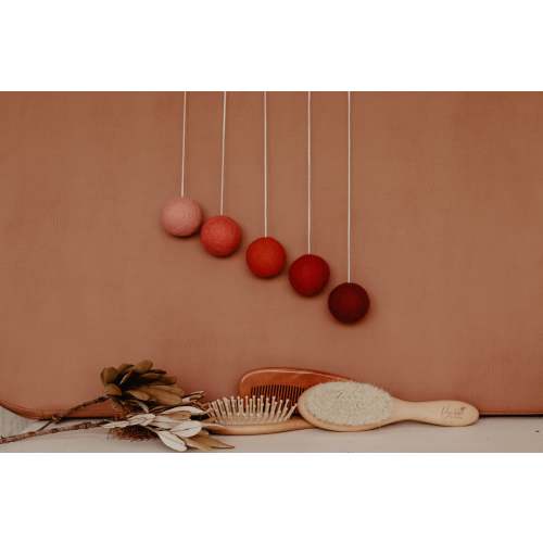Baby Brush Set