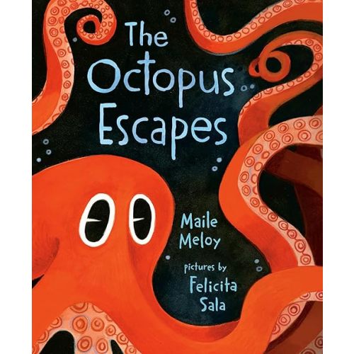 The Octopus Escapes Hardcover – Picture Book, May 11, 2021