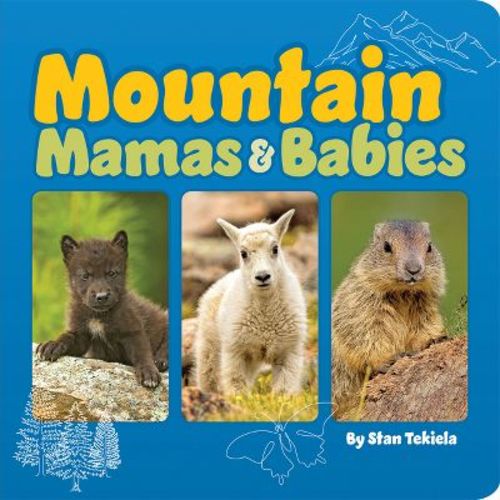 Mountain Mamas & Babies - (mamas And Babies) By Stan Tekiela (board Book)