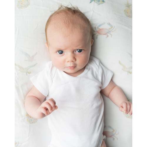 Charleston Icons - Swaddle