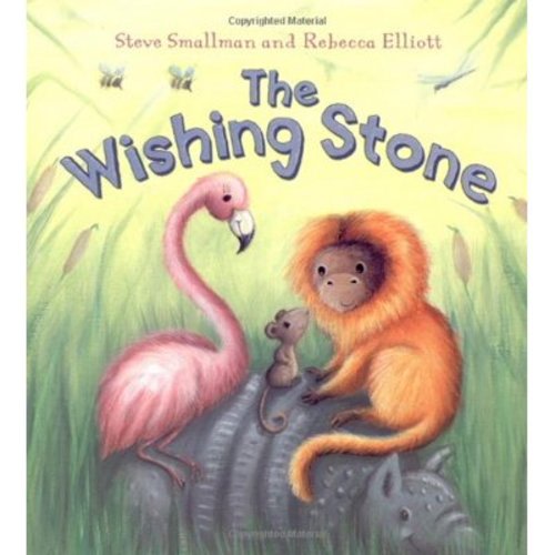 Pre-Owned The Wishing Stone (Storytime (Hardcover) 1848353693 9781848353695
