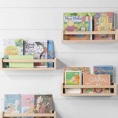 Baby Santucci’s Book Registry