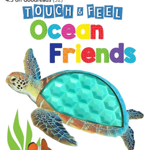 Ocean Friends - Touch and Feel Board Book - Sensory Board Book
