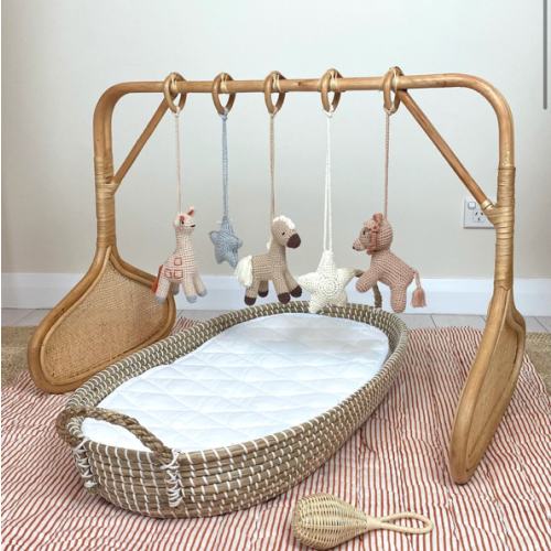 Coco Rattan Play Gym