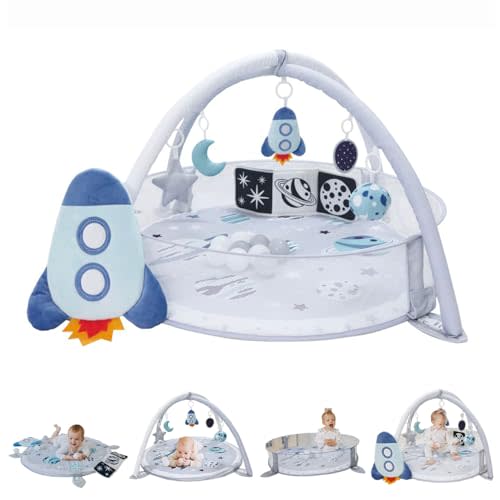 Aila+Aiden 6-in-1 XL Play Mat & Play Gym, Baby Gym, Baby Activity Gym, Sensory Exploration and Motor Skill Development Toys (Space Gray)