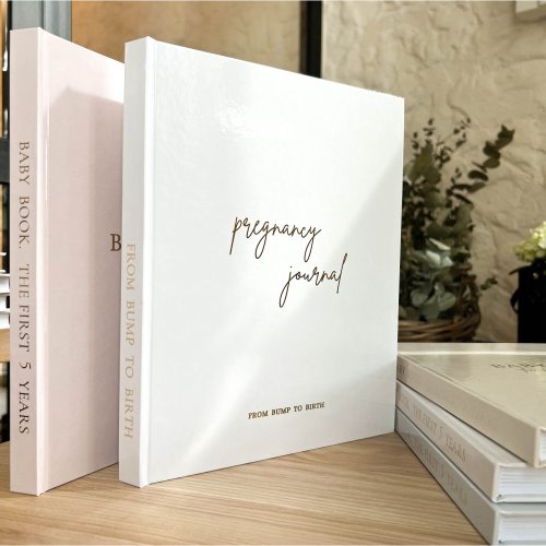 Pregnancy & Birth Memory Book - Blue, Months (70 pages)