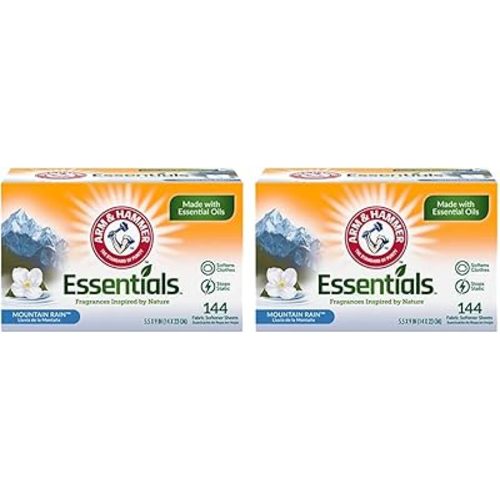 Arm & Hammer Dryer Sheet 144ct Mountain Rain (Pack of 2)