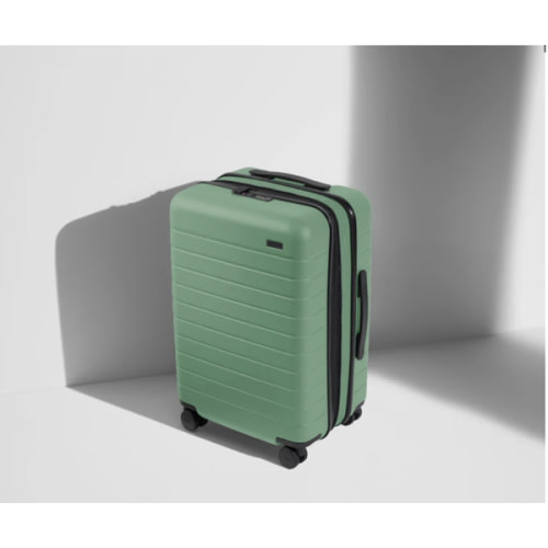 The Bigger Carry-On Flex in Sea Green