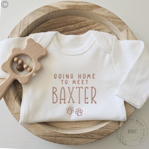 Embroidered Going Home to Meet My Pups Puppy Onesie® brand, New Best Friend Onesie® Personalized Dog Name Onesie® Dog Name Z7