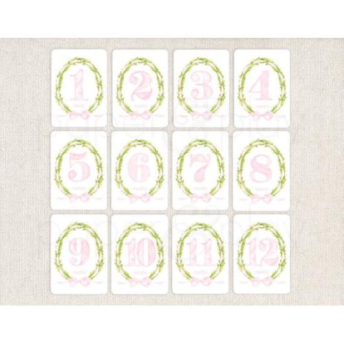 Watercolor Pink Baby Milestone Cards // Baby // Month Cards // Baby Shower // Gift - Etsy