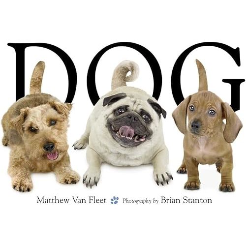 Dog Novelty Book – Touch & Feel, February 6, 2007