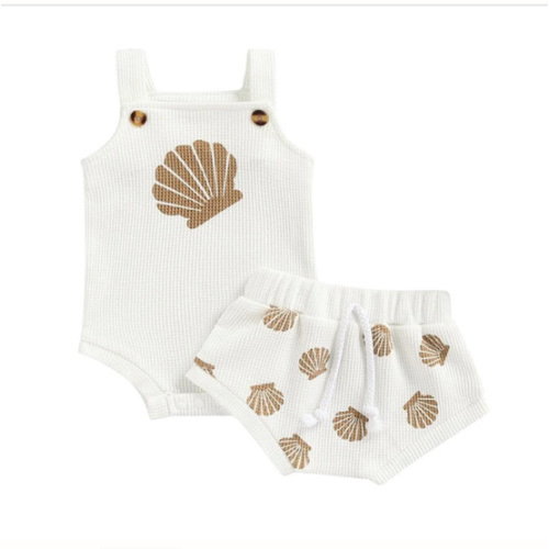 Seashell Set