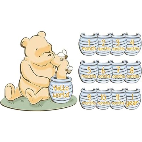 Winnie Baby Monthly Milestone Markers, the Pooh Nursery Decor, Baby Announcement Sign, 13PCS Winnie Monthly Announcement Wooden Discs,the Pooh Milestone Pictures of Newborn