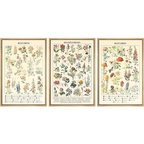 3Pcs Vintage Wildflowers Posters Botanical Canvas Wall Art Colorful Rustic Style of Floral Picture Prints Farmhouse Style Illustrative Reference Flower Chart Painting Wall Decor Unframed (16x24in)