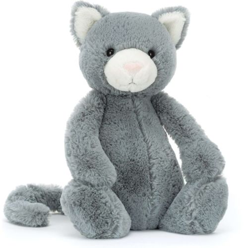 Bashful Kitten