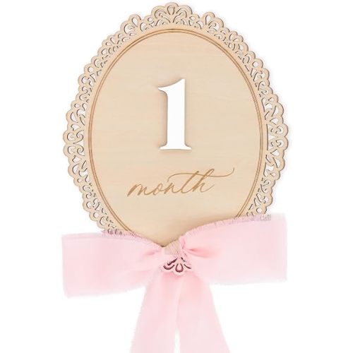 Baby Monthly Milestone Set, 1–12 Month Growth Markers, Newborn Photo Props, Memory Keepsake, Nursery Decor (Bow D30)