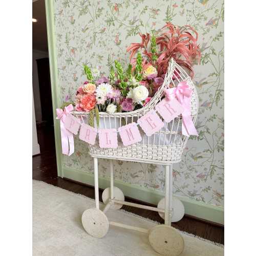 Windowpane Baby Name Banner