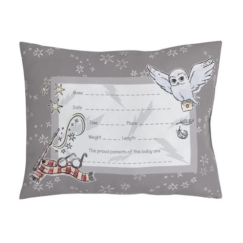 Warner Brothers Harry Potter Magical Moments Grey and White Keepsake Decorative Throw Pillow