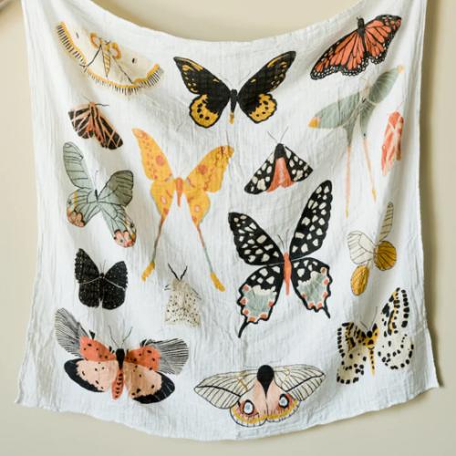 Butterfly Collector Swaddle