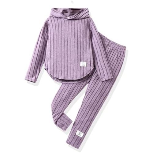 Toddler Girl Fall Clothes Set Warm Sweatshirt Pants Long Sleeve Sweatsuits Winter Hooded Pullover Outfits