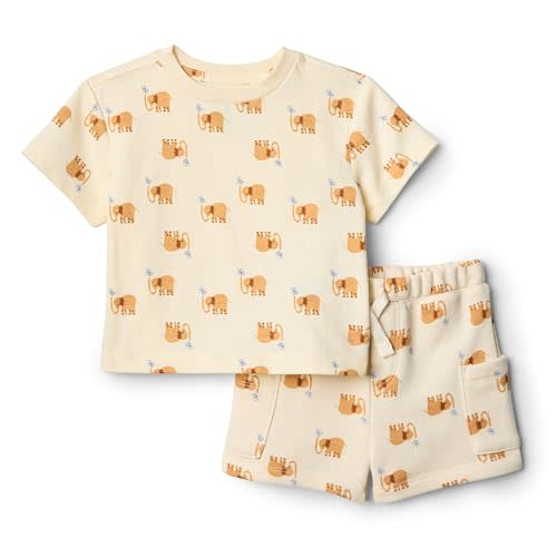 Amazon Essentials x Sofia Grainge Toddlers and Baby Boys' Regular Fit T-Shirt and Short Set