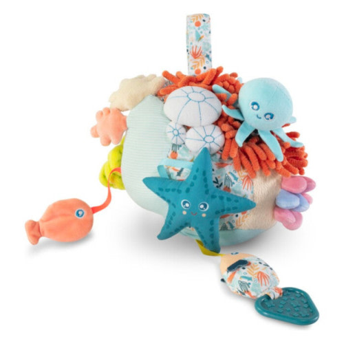 Sensorial Reef