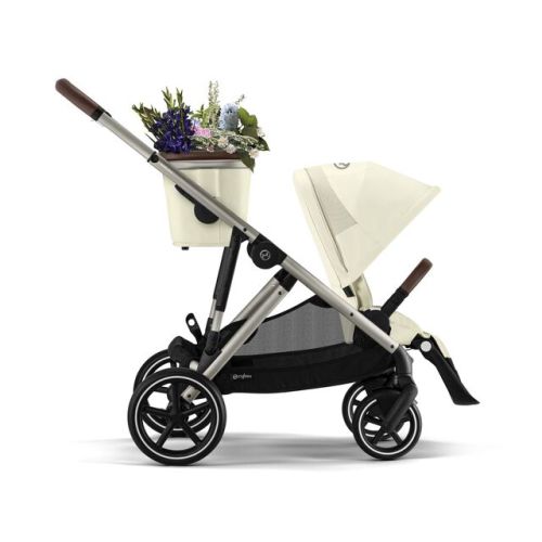 Double Stroller