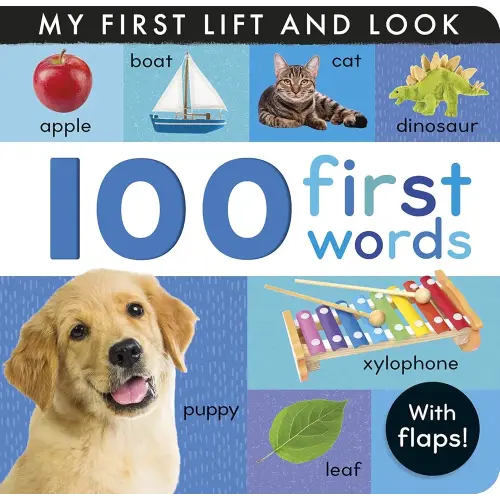 100 First Words: My First Lift and Look (with Flaps)