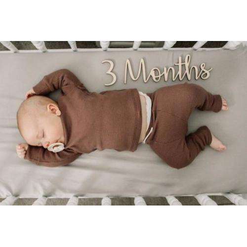 Monthly Photo Props Milestone Marker Baby Gift Baby