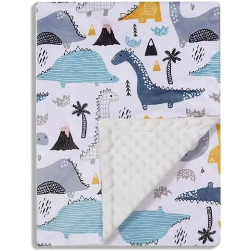Baby Blanket for Boys Girls Soft Minky with Double Layer Dotted Backing, Color Dinosaurs Printed 30 x 40 Inch Receiving Blanket