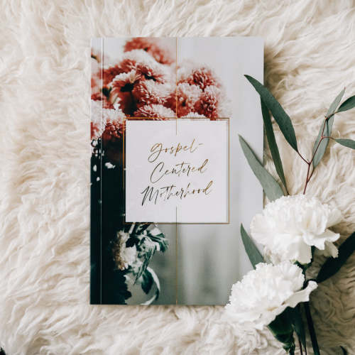 Gospel-Centered Motherhood | TDGC – The Daily Grace Co.