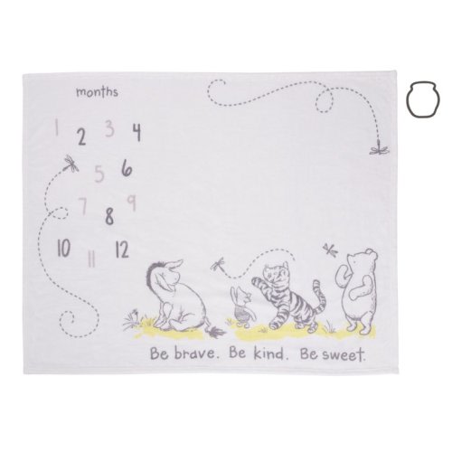 Disney Classic Winnie The Pooh White Super Soft Milestone Baby Blanket