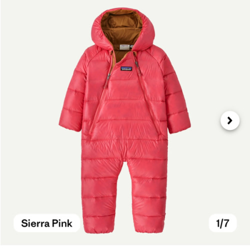 Patagonia Infant Hi-Loft Down Sweater™ Bunting