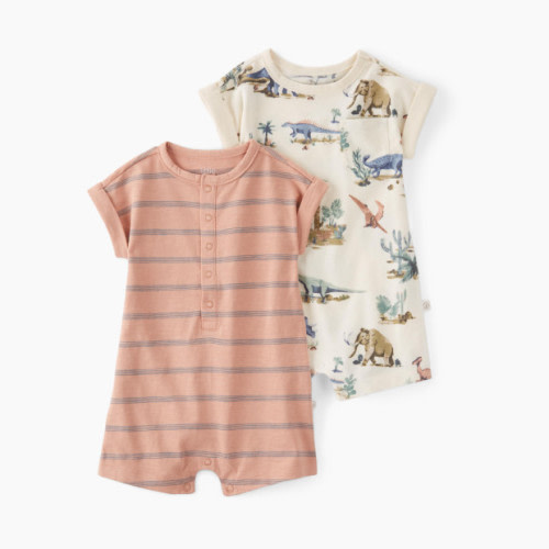 Carter's Little Planet 2-Pack Organic Cotton Rompers - Multi-Color, 6 M