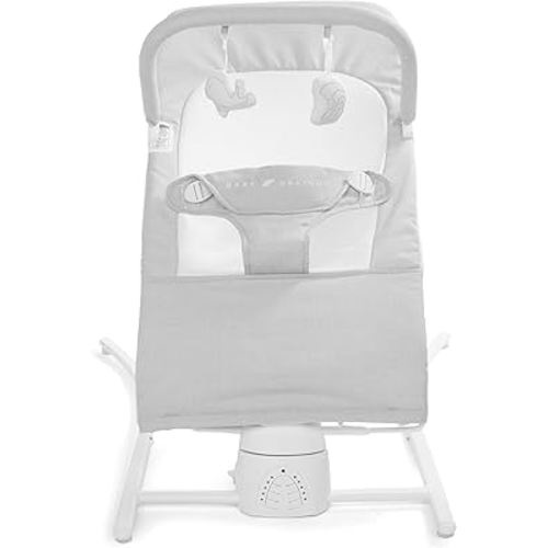 Baby Delight Alpine Wave Deluxe Portable Bouncer | Automated Motion Baby Bouncer | Infants 0 – 6 Months | Driftwood Grey