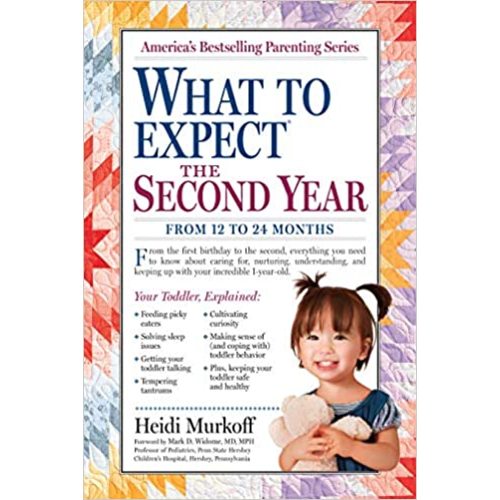 What to Expect the Second Year: From 12 to 24 Months