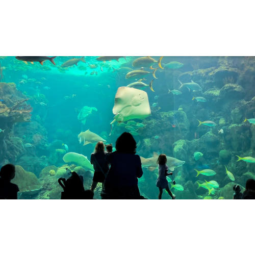 Explore The Florida Aquarium