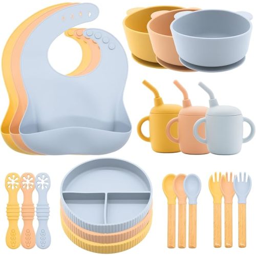 Silicone Baby Feeding Set 21 Pcs, Baby Led Weaning Supplies, Baby Feeding Supplies Set BPA Free, Essentials for Newborn Gift Mixed