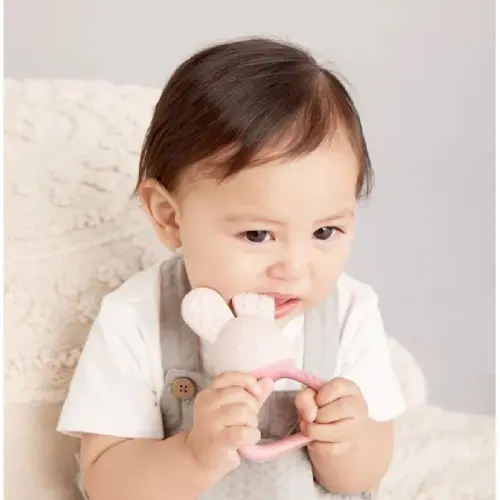 B.Box Baby Chill And Fill Teether Blush | Baby Bunting AU