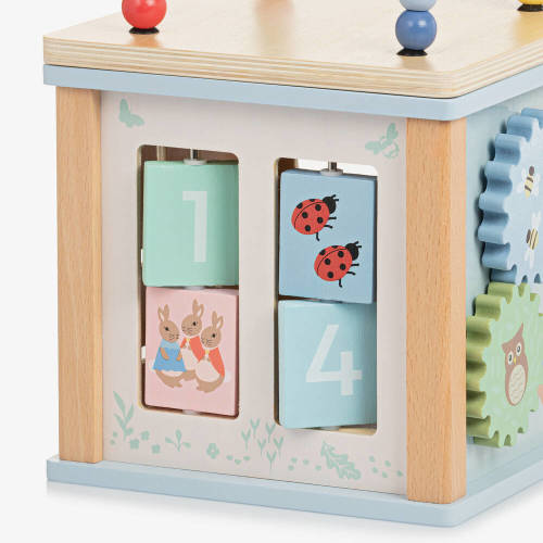 Orange Tree Toys - Peter Rabbit Wooden Activity Cube | Childrensalon