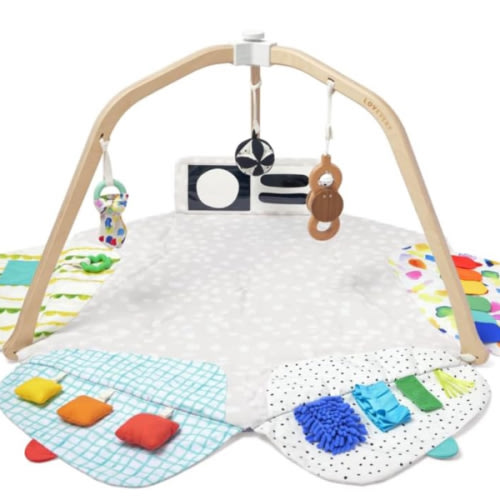 LOVEVERY | The Play Gym | Award Winning For Baby , Stage-Based Developmental Activity Gym & Play Mat for Baby to Toddler