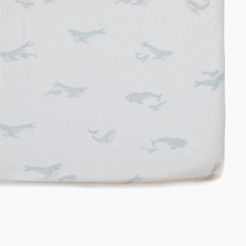 Pehr Brushed Organic Cotton Crib Sheet - Follow Me Whale