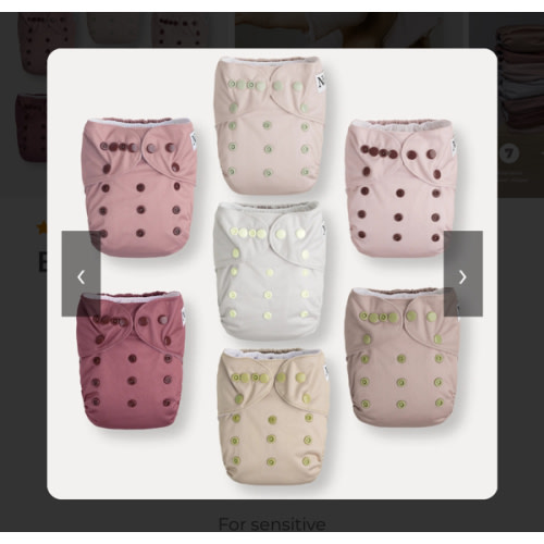 Ballet Slippers