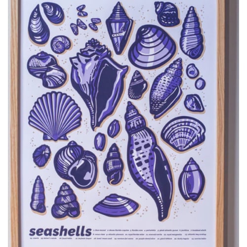 Seashells Print